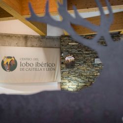 Centro del lobo de Robledo en la Sierra de la Culebra, Sanabria
