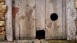 Fotografía: Que cada gato entre por el buraco que quiera