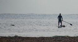 Fotografía: Casualidades al hacer una foto a un paddle surfer