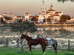 Fotografía: Así es El Rocío, un pueblo hecho para el caballo