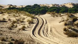 Fotografía: Días hacen falta para ver doñana, unas horas saben a muy poco