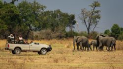Fotografía: Mmmm, con los elefantes no es para estar jugando, la verdad