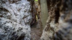 Fotografía: Una pasada de caminos en La Cabrenta de Estubeny