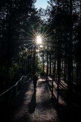 Fotografía: Da igual que no haya mucha agua, el nacimiento del río Cuervo bien merece un paseo