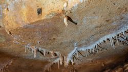 Fotografía: No solamente cuelgan estalactitas del techo en la impresionante cueva del Tortero en Tous