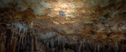 Fotografía: Se ven unos cuantos murciélagos en la impresionante cueva del Tortero en Tous