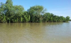 Orillas del río mekong