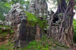 Fotografía: Los templos y la selva