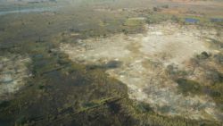 Fotografía: Vista aérea del okavango