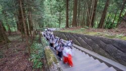 En peregrinación hacia la tumba de Ieyasu subiendo escaleras, Nikko