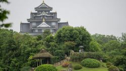 Pareja en la loma del jardín Korakuen con Castillo de Okayama al fondo