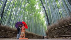 Una pareja haciendo el reportaje de boda en el bosque de Bambú de Sagano