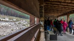 Fotografía: Miradores en el centro del lobo de Robledo