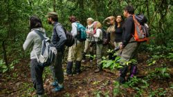 Fotografía: Escuchando los escalofriantes ruidos de los chimpancés