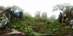 Fotografía: Viendo gorilas en 360 grados