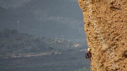 Fotografía: Escaladores en los mallos de riglos sobre pared más que vertical